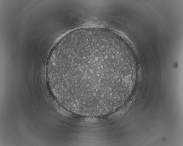 X0000116801220201001291533