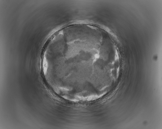 X0000116801221201001291533