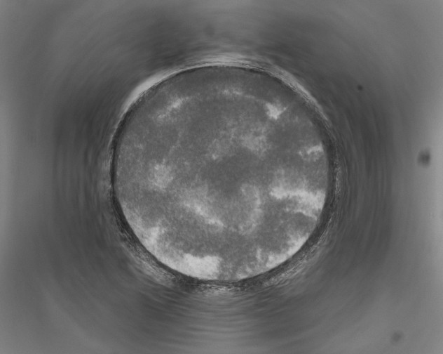 X0000116801222201001291533