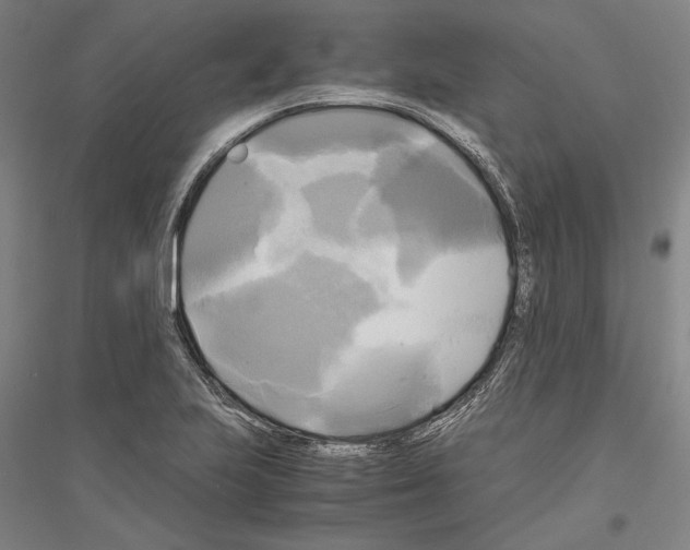 X0000116801223201001291533