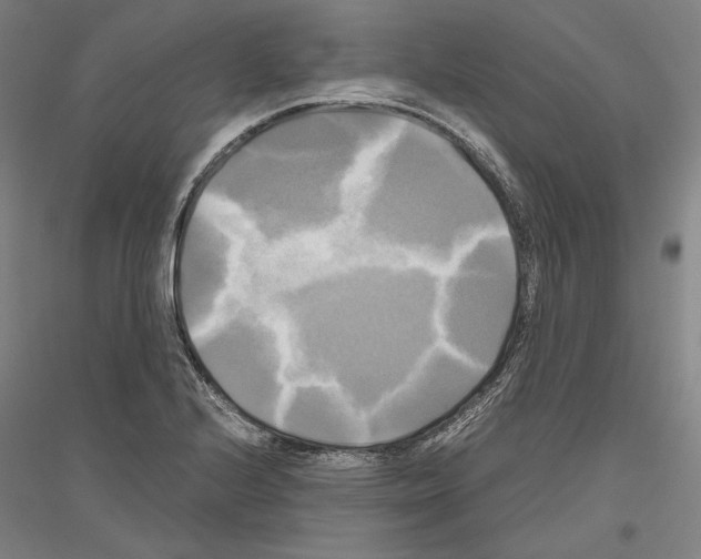 X0000116801224201001291533