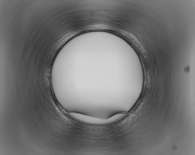 X0000116801225201001291533