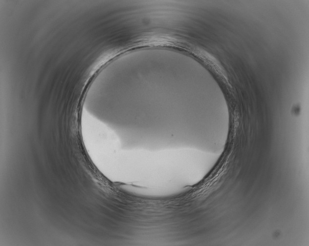 X0000116801226201001291533