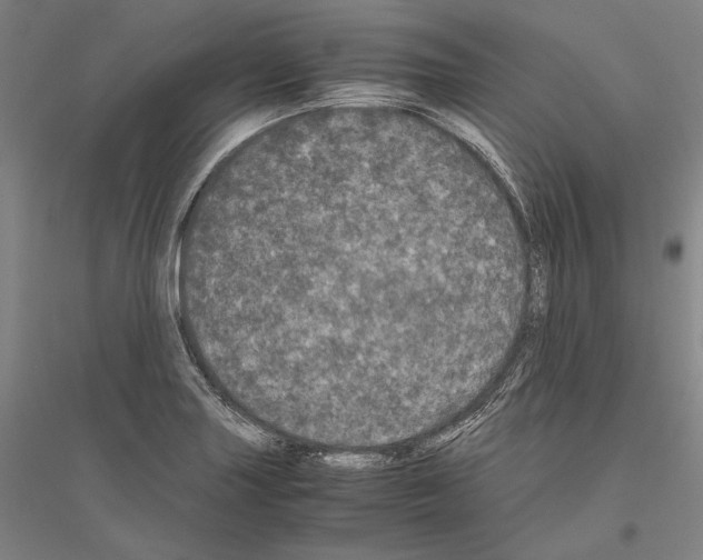 X0000116801227201001291533