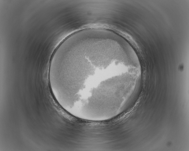 X0000116801228201001291533