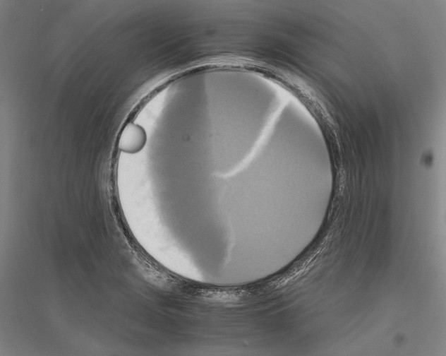 X0000116801229201001291533