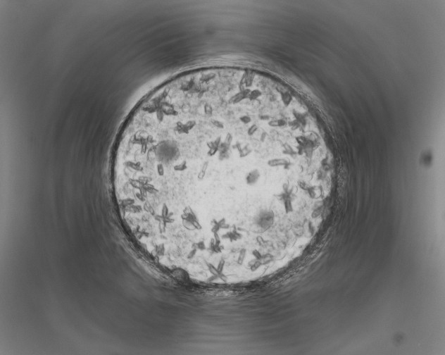 X0000116801230201001291533