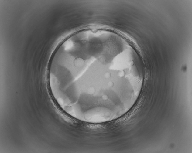 X0000116801231201001291533