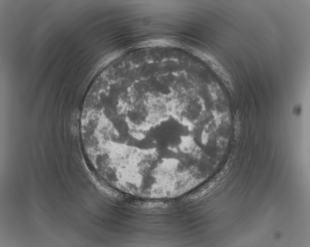 X0000116801233201001291533