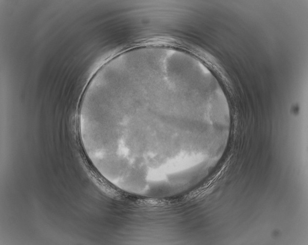 X0000116801234201001291533