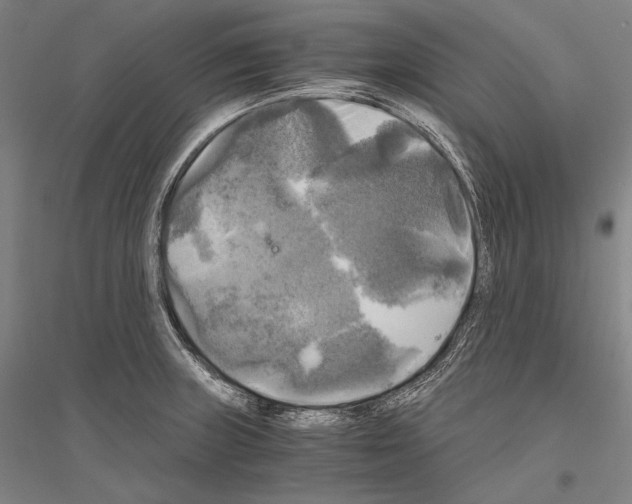 X0000116801235201001291533