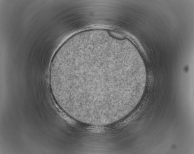 X0000116801236201001291533