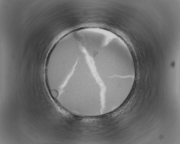 X0000116801237201001291533
