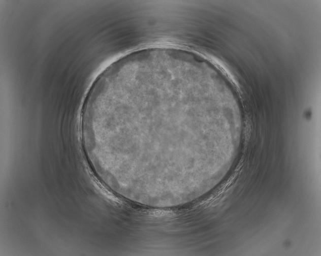 X0000116801238201001291533