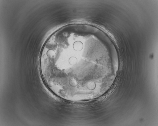 X0000116801239201001291533