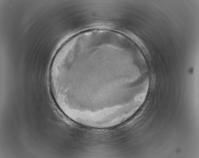 X0000116801240201001291533