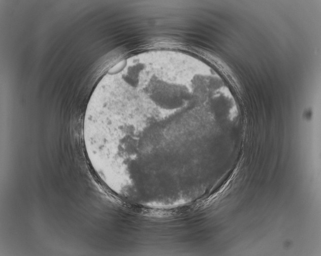 X0000116801241201001291533