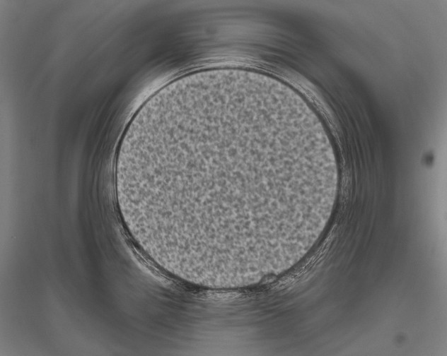 X0000116801242201001291533