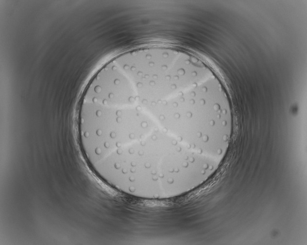 X0000116801243201001291533
