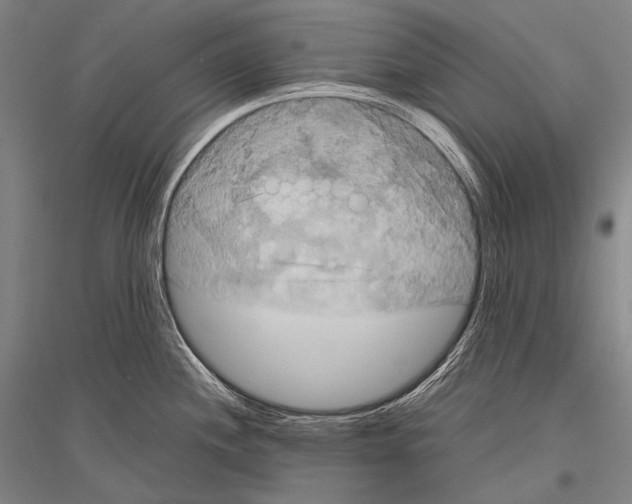 X0000116801244201001291533
