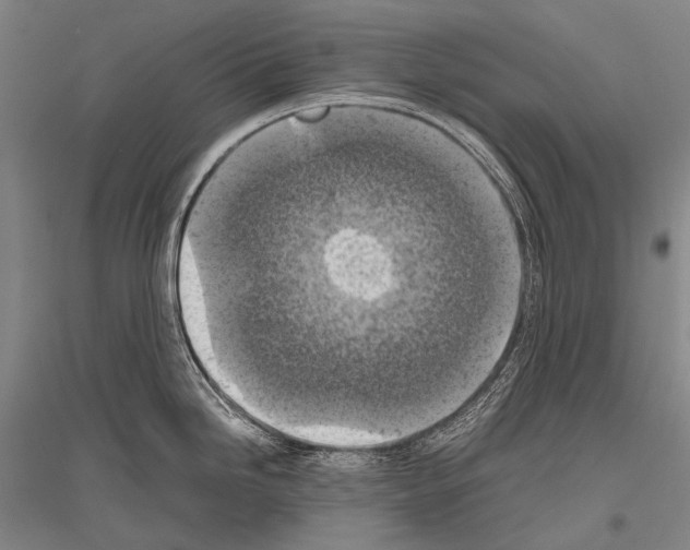 X0000116801246201001291533