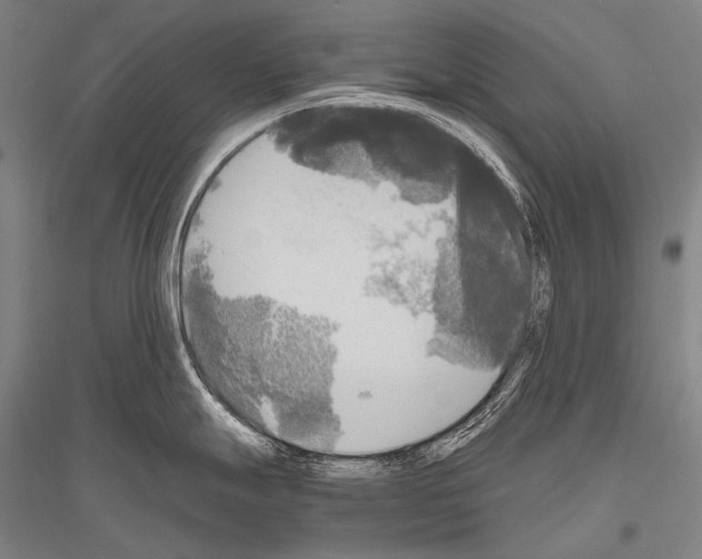 X0000116801247201001291533