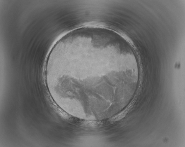 X0000116801248201001291533