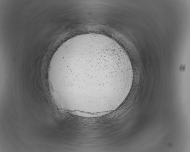 X0000116801249201001291533