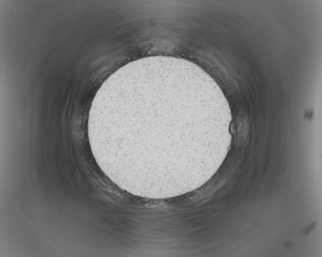 X0000116801250201001291533