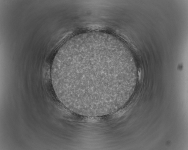 X0000116801251201001291533