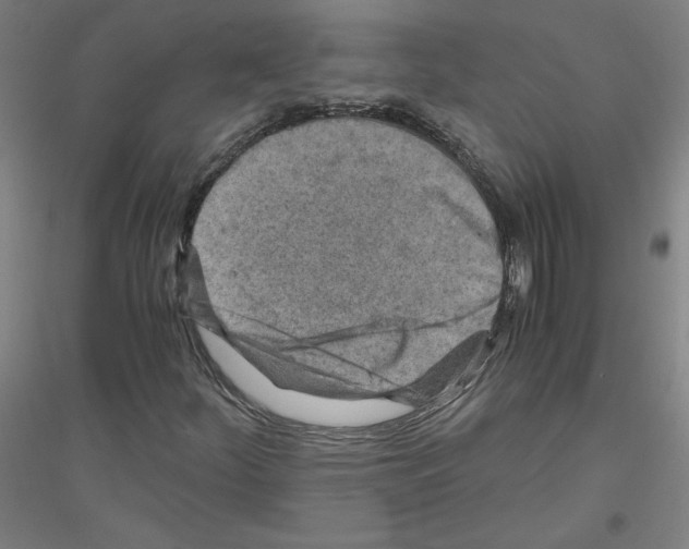 X0000116801252201001291533