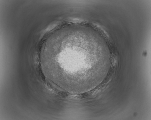 X0000116801253201001291533