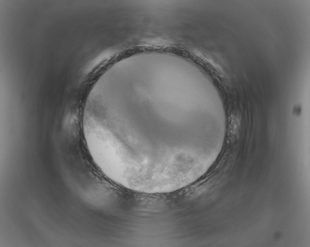 X0000116801254201001291533