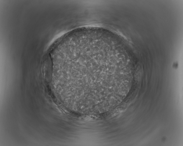X0000116801255201001291533