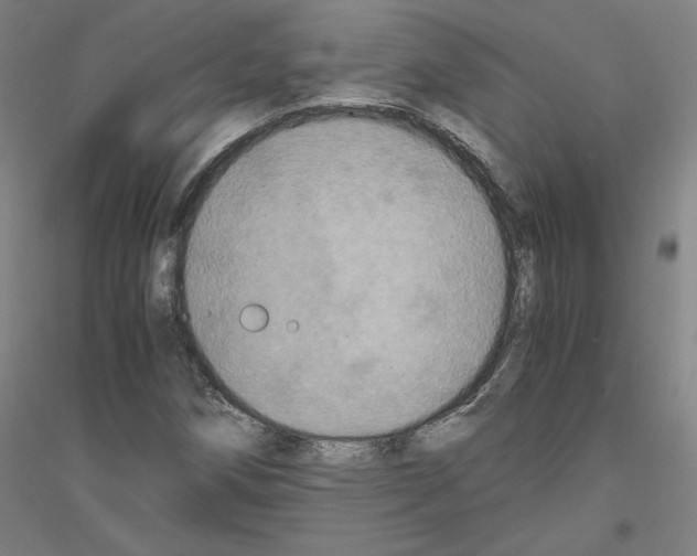 X0000116801258201001291532