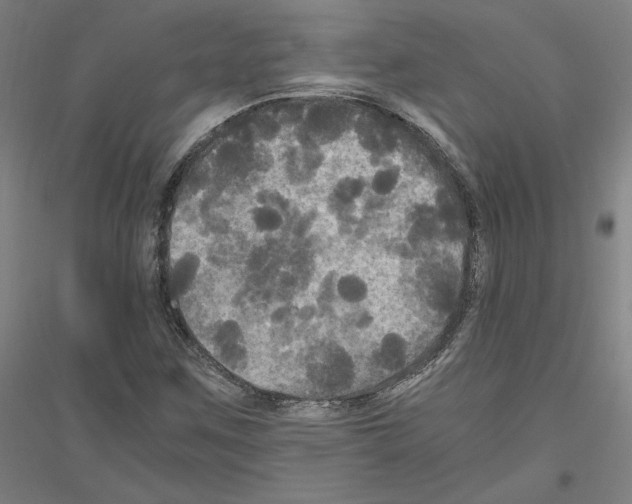 X0000116801259201001291532