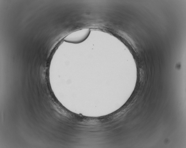 X0000116801260201001291532