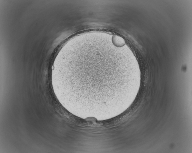 X0000116801261201001291532