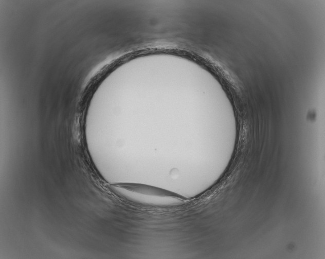 X0000116801262201001291532