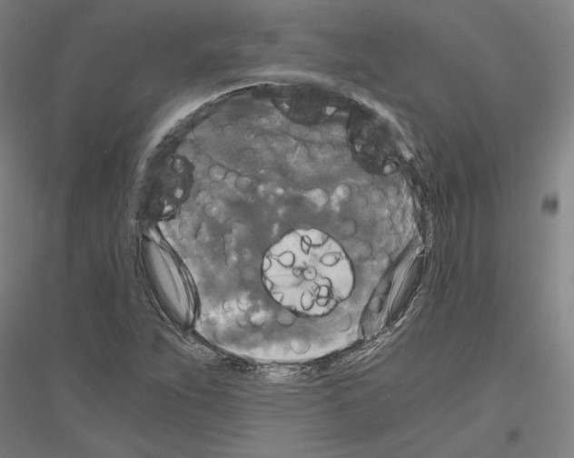 X0000116801263201001291532