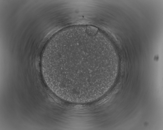 X0000116801265201001291532