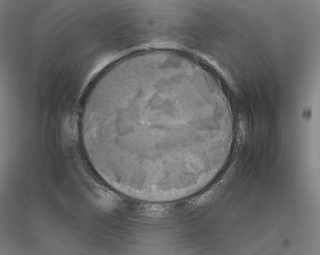 X0000116801266201001291532