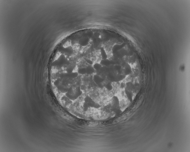 X0000116801267201001291532