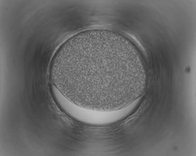 X0000116801268201001291532