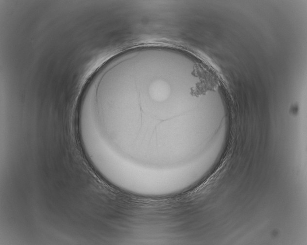 X0000116801269201001291532