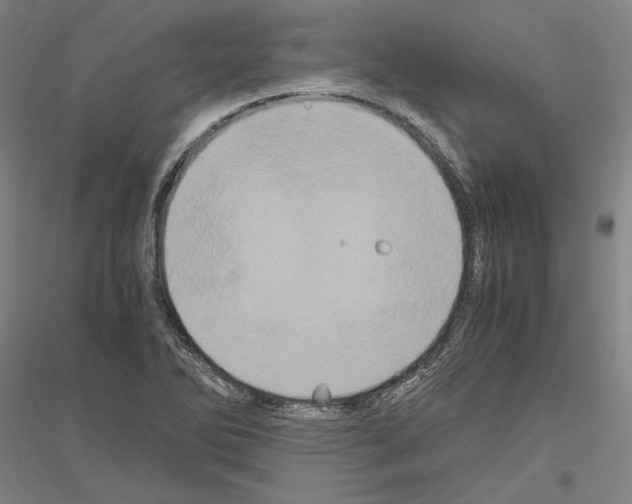 X0000116801270201001291532