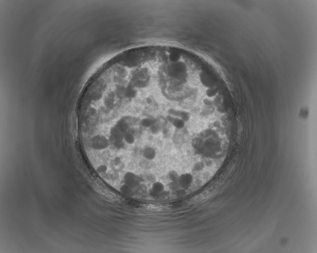 X0000116801271201001291532