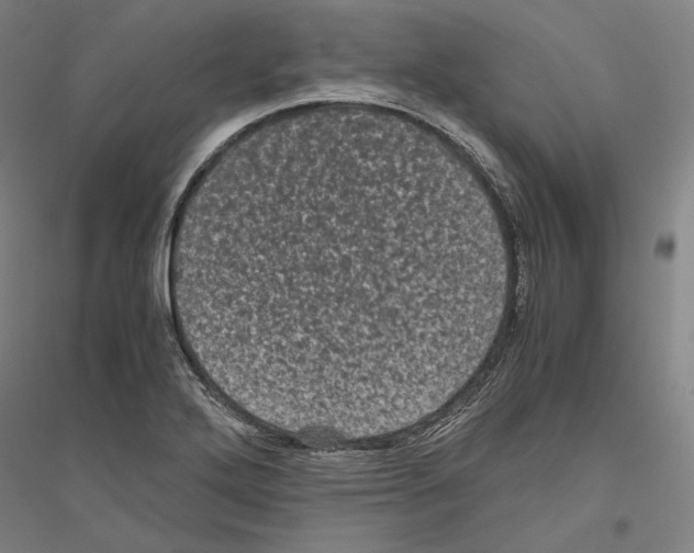 X0000116801272201001291532