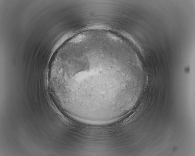 X0000116801274201001291532