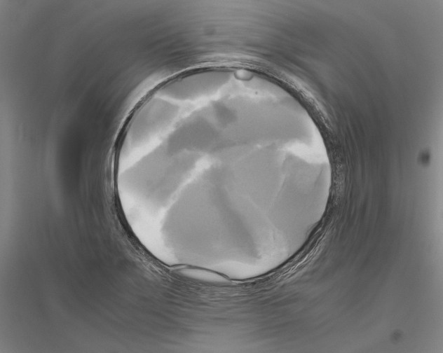 X0000116801275201001291532